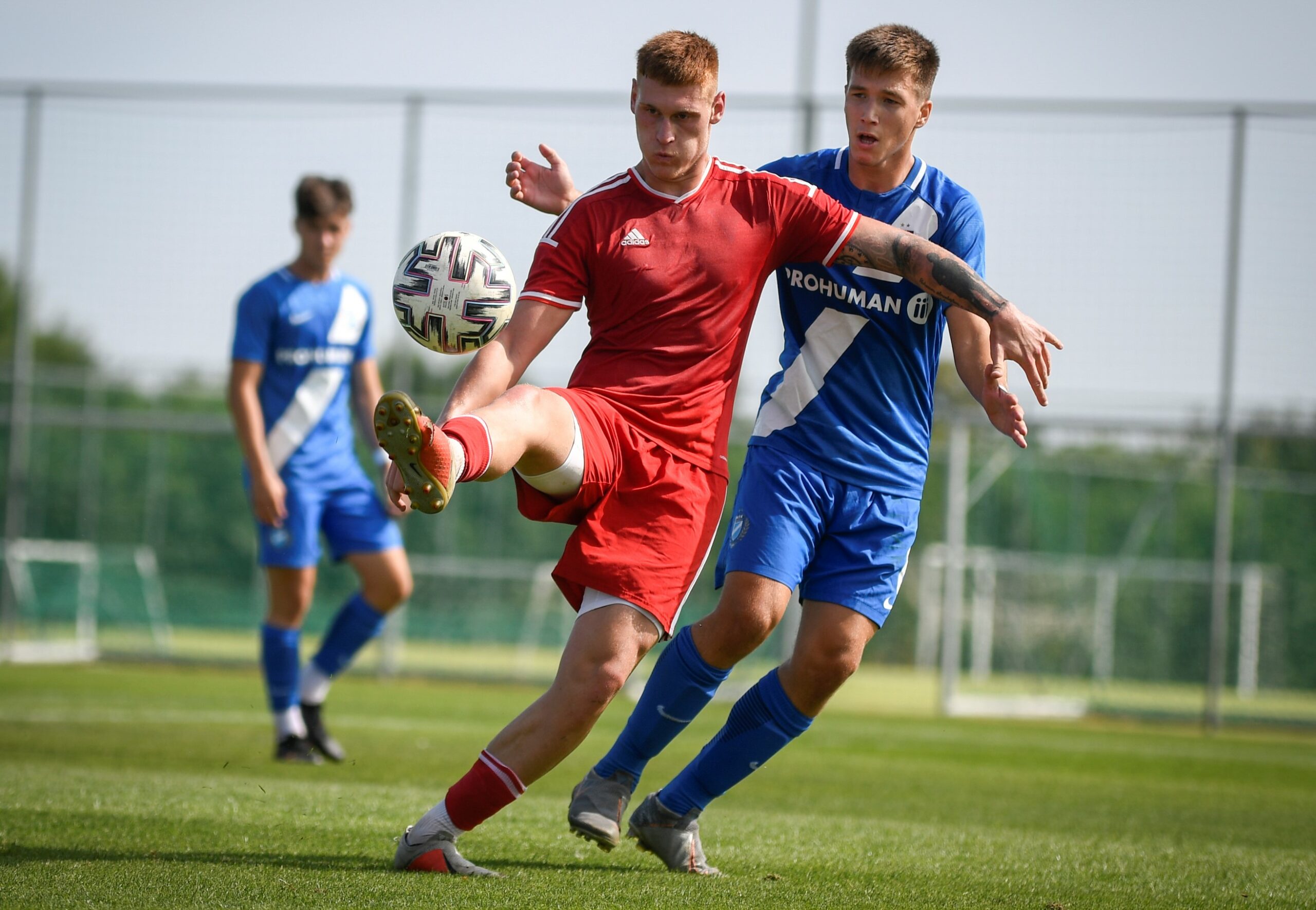 Ferencváros elleni sikerrel növelte előnyét a tabellán U19-es csapatunk  (videó)